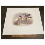 Fred J. Boyer Pintail Ducks Signed Numbered Print