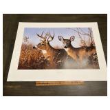 Leo Stans "Majestic Morning" Whitetail Deer Print