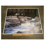Rick Kelley Bald Eagles Over River Rapids Wildlife