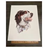 Crum English Setter Sporting Dog Portrait Print