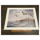 Maass Redhead Ducks Marsh Flight Waterfowl Print