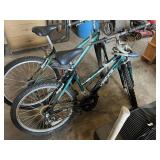 Mountain Tamer Vertical Mountain Bike