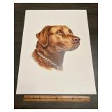 Crum 1983 Chocolate Labrador Retriever Sporting Do