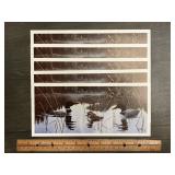 Derk Hansen Common Loon Family Lake Wildlife Print