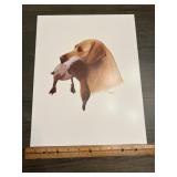 Louis Frisino Retriever Carrying Duck Sporting Dog