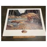 Derk Hansen "A Wild Life" Grizzly Bear Conservatio
