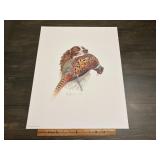 Greg Alexander Springer Spaniel & Pheasant Print 7