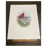 Fred J. Boyer Cardinal Signed Numbered Wildlife Pr