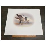 Fred J. Boyer Canada Geese Signed Numbered Print 3