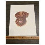 Sporten Art 1984 Chocolate Labrador Retriever Dog