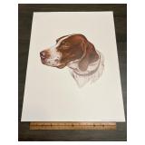 Crum 1983 German Shorthaired Pointer Sporting Dog