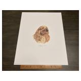 Limited Edition Irish Setter Dog Portrait Print 33