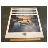 Derk Hansen "Dawns Early Light" Loon Prints Lot of