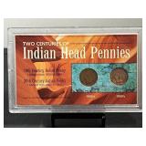 2 Centuries Of Indian Head Pennies