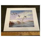 Maass Waterfowl Wildlife Print