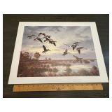 Maass Redhead Ducks Marsh Flight Print