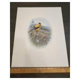 Fred J. Boyer Goldfinch Signed Numbered Print 4874