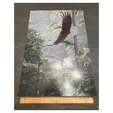 Bald Eagle Forest Wildlife Print