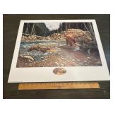 Derk Hansen "A Wild Life" Grizzly Bear Conservatio