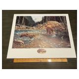 Derk Hansen "A Wild Life" Grizzly Bear Conservatio