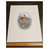 Fred J. Boyer Goldfinch Signed Numbered Print 4874