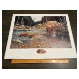 Derk Hansen "A Wild Life" Grizzly Bear Conservatio