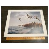 Maass Redhead Ducks Marsh Flight Waterfowl Print