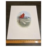 Fred J. Boyer Cardinal Signed Numbered Print 1093/