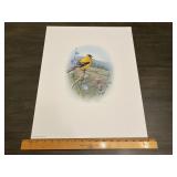 Fred J. Boyer Goldfinch Signed Numbered Print 4874