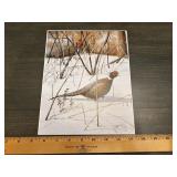Kelley Pheasant Hunter Winter Wildlife Print