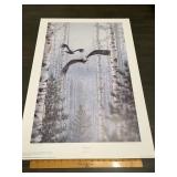 Mark Daehlin "Pursuit" Signed Numbered Eagle Print