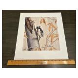 Pat Stein "Downy Woodpecker" Signed Numbered Print