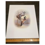 Fred J. Boyer Wood Ducks Signed Numbered Print 137