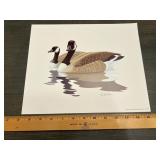 Richard Sloan Canada Goose Pair Wildlife Print