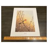 Ralph Waterhouse "Western Tanager" Limited Edition
