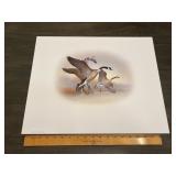 Fred J. Boyer Canada Geese Signed Numbered Print 3