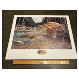 Derk Hansen "A Wild Life" Grizzly Bear Conservatio