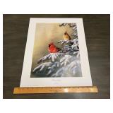 Jim Hansel "Winter Refuge" Cardinal Wildlife Print