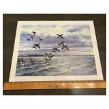 Maass Flying Waterfowl Marsh Print