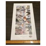 Mark Daehlin "Feathered Friends II" Bird Print