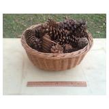 Lot of Assorted Pine Cones