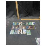 (20) Garnett Insert Cards