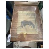 Horse Print & Other Frames