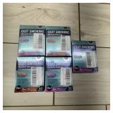 5 Cases (30 Pouches Each) Sefudun Nicotine Patches