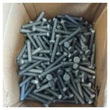 Case of 163-count 3/8'-16 coated bolts