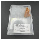 Fossil Amber w/ Bugs Colombia in Case