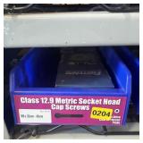 Class 12.9 Metric Socket Head Cap Screws - Assorte