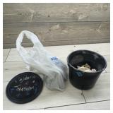 Lot of Collectible Sea Shells.