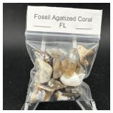 Full Bag Of Agatized Coral Fron Florida