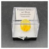 Fossil Amber With Bug Dominican Rebulic With Case/